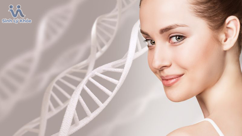 Có nên bổ sung collagen tăng cường sinh lý nữ không?