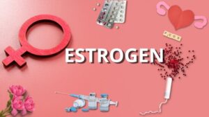 Hormone estrogen la gi