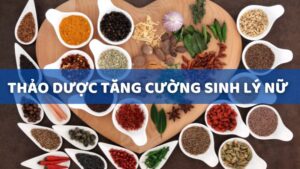 Cac loai cay thuoc nam, thao duoc tang cuong sinh ly nu